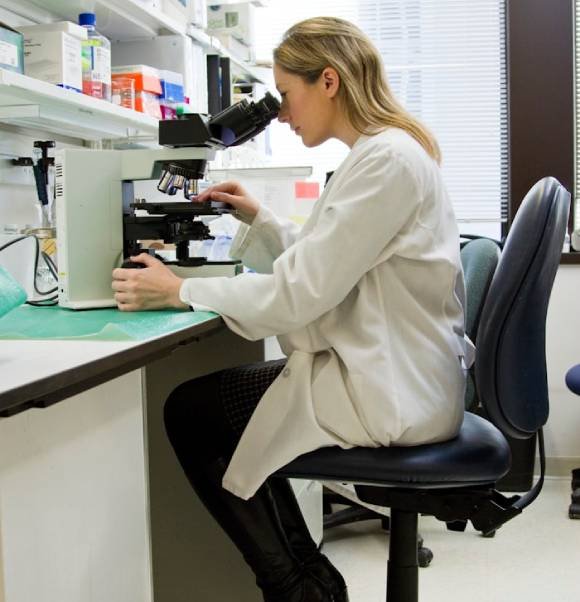 Hormone Therapy